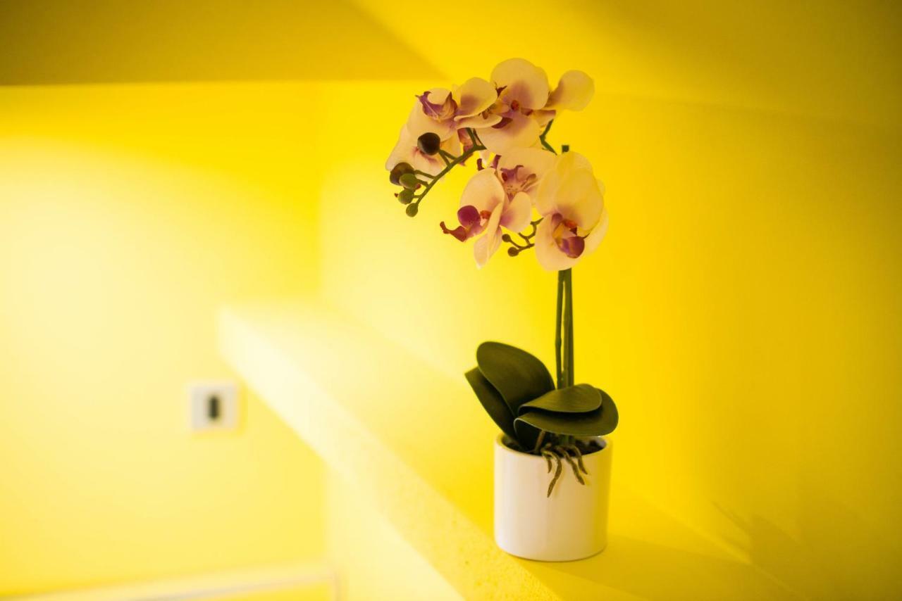 Apartment Jacobs بليد المظهر الخارجي الصورة
